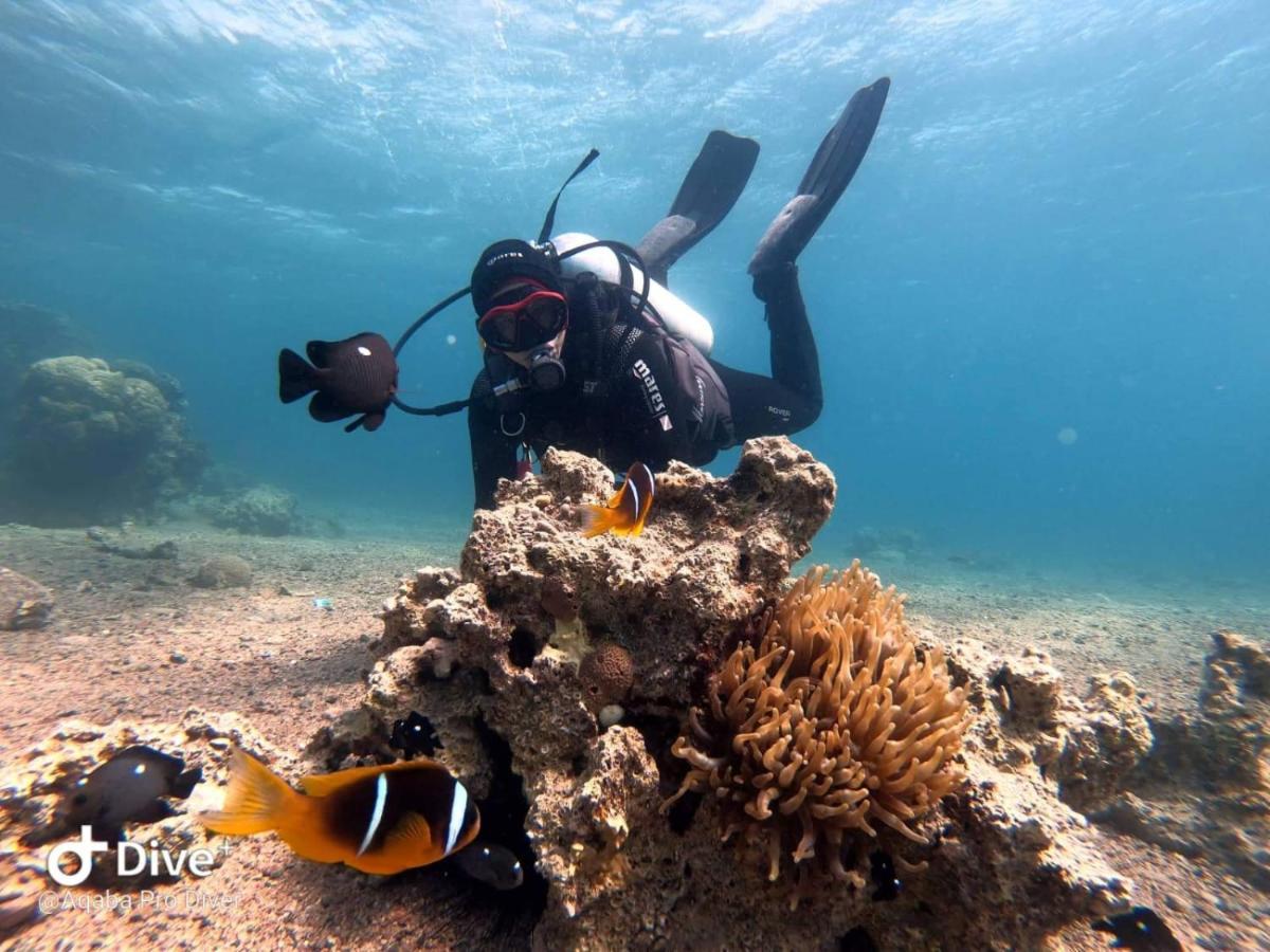 Aqaba Pro Divers Exterior foto